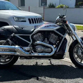 Harley - Davidson, Street Rod ( VR2 ) VRSCR ( dvoubarva )